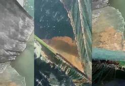 Marmara Denizi'nde müsilaj tehdidi