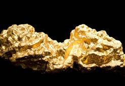 Paris’te müzeden 700 bin dolarlık altın çalındı