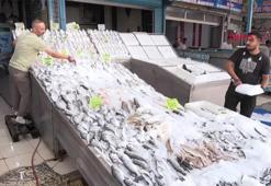 Balık bollaştı, fiyatlar düştü