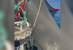 Marmara Denizi'nde müsilaj tehdidi