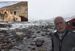 Doğu Karadeniz'in yüksekleri beyaza büründü; çobanlar sürülerini yayladan indirdi