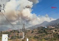 Alanya'daki orman yangınında 2'nci gün