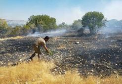 Diyarbakır'da 3 farklı noktadaki yangın kontrol altına alındı