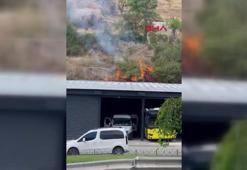 Kağıthane'de ağaçlık alanda yangın