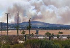 Çanakkale'de tarım arazisindeki yangın ormana sıçradı