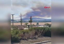 Çanakkale'de tarım arazisindeki yangın ormana sıçradı