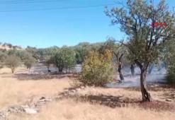 Diyarbakır'da 3 farklı noktada yangın; 2'si kontrol altında, biri sürüyor