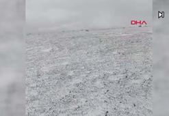 Erzurum'un yüksek kesimlerine eylül ayının ortasında kar yağdı