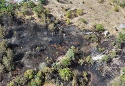 Kağıthane'de alev alev yanan ağaçlık alan küle döndü