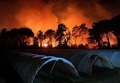 Antalya’da orman yangını kontrol altında