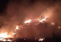 Düğünde atılan havai fişekler yangın çıkardı; alevler ormana sıçramadan söndürüldü