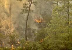Muğla Köyceğiz'deki orman yangınında 2'nci gün