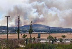 Çanakkale'deki orman yangını kontrol altında