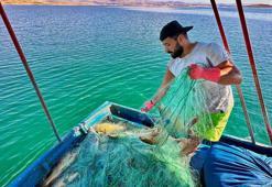 Denizi olmayan Tunceli'de balık avlayarak ayda 200 bin lira kazanıyor