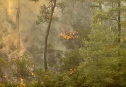 Muğla Köyceğiz'deki orman yangınında 2'nci gün