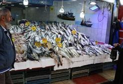 Tezgahlarda balık çeşidi arttı; Karadeniz hamsisi de yolda
