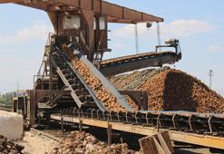 Malatya'da bu yıl 500 bin ton pancar işlenerek 62 bin ton şeker elde edilecek