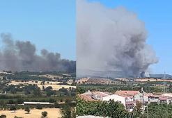 Çanakkale'de çıkan orman yangını kontrol altında