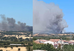 Çanakkale'de orman yangını