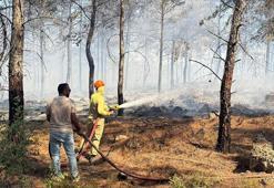 Antalya’da orman yangını, hızlı müdahale ile büyümeden kontrol altına alındı