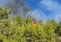 Serik'teki orman yangını kontrol altında
