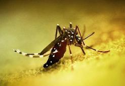 Çin'de halk sağlığı acil durumu ilan edildi