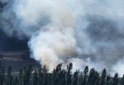 Hevsel Bahçeleri'nde çıkan anız yangını söndürüldü