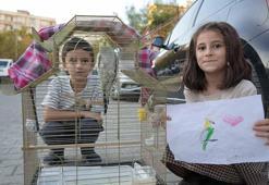 Kardeşlerin pencereden kaçan papağanları ‘Zeytin’ bulundu