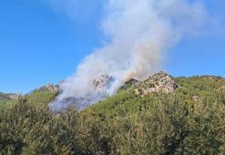 Serik'teki orman yangınına ilişkin 1 gözaltı