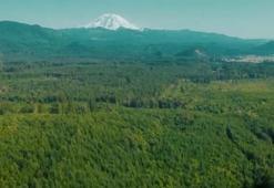 Türkiye'den New York'ta ‘Sıfır Atık Mavi-Damla Damla’ sergisi