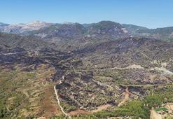 Muğla'da 3 bin hektar ormanın zarar gördüğü yangında yanan alanlar dronla görüntülendi