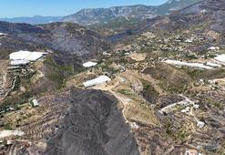 Antalya'daki orman yangınlarında 1350 hektar alan zarar gördü