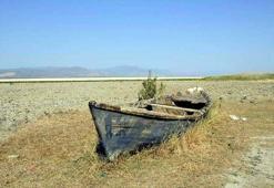 Prof. Dr. Şimşek: 240 gölden 186'sı kurudu