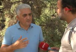 Prof. Dr. Şimşek: 240 gölden 186'sı kurudu