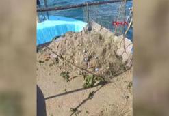 Doç. Dr. Dindar: Marmara’da görülen denizanası yoğunluğu müsilajın da habercisi