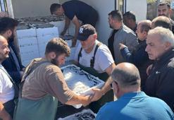 Hava şartları normale döndü, denize açılan balıkçılar bol miktarda hamsiyle geldi