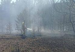 Kastamonu'da orman yangınında 10 dönüm alan zarar gördü