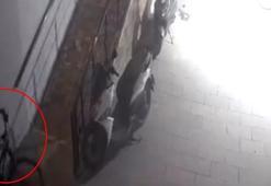Çocukların bisiklet hırsızlığı kamerada