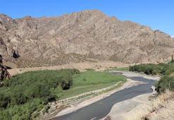 Baraj gölünde suyun çekildiği alan yeşile büründü