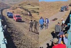 Yük treni büyükbaş sürüsüne çarptı; 5 inek öldü