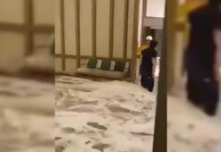 Tayvan’da Ragasa Tayfunu nedeniyle 17 kişi hayatını kaybetti