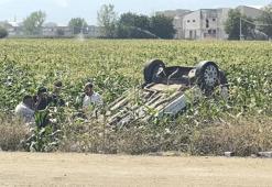 Takla atıp mısır tarlasına uçan hafif ticari aracın sürücüsü yaralandı