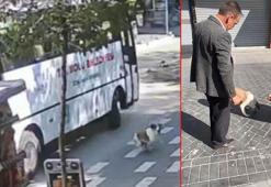 Halk otobüsü çalışanları, ayağını ezdikleri köpeği bulup mama verdi