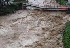 Selin vurduğu tesiste alabalıkların 'oksijen' mücadelesi
