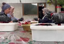 Balkan mutfağının vazgeçilmezi 'lütenitsa' Bursa'da üretiliyor