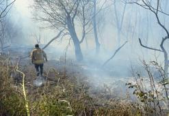 Büyükçekmece'de otluk alanda çıkan yangın söndürüldü