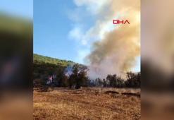 Burdur'da orman yangını