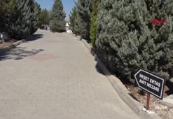Neşet Ertaş, Kırşehir'deki mezarı başında anıldı