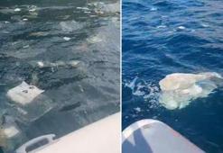 Amasra'da deniz yüzeyinde kirliliğe inceleme