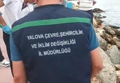 Yalova'da çevre kirliliğine neden olan 2 belediyeye 4 milyon TL ceza